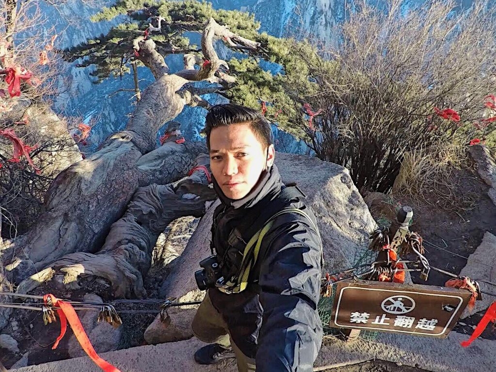 A bonsai tree hanging out from the cliff, right after the plank walk experience. 