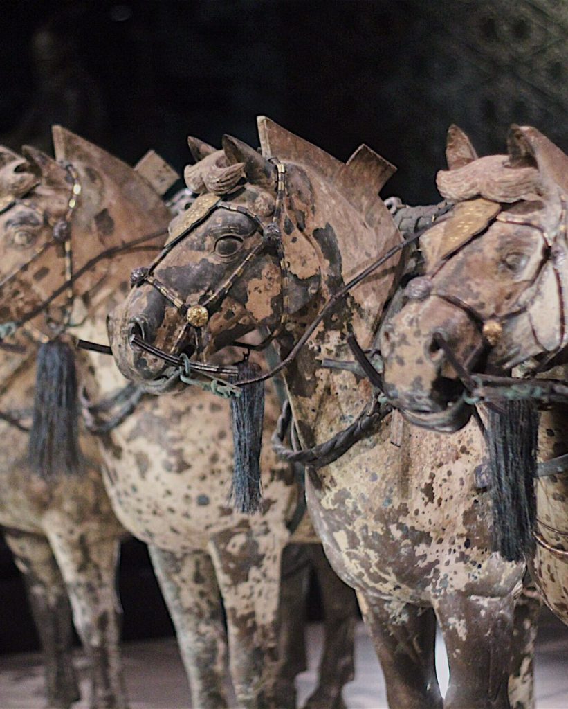 Bronze Chariots and Horses - considered to be the earliest, largest and best-preserved bronze chariots and horses in the history of Chinese archaeology.